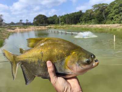Aquaplus retorna ao IFC Amazônia após sucesso de negócios na 1ª edição