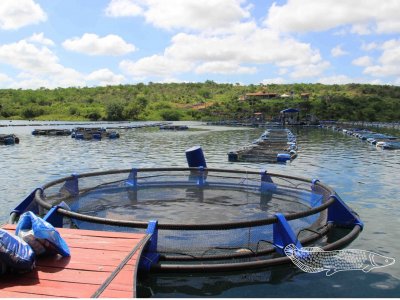 Braspeixe apresenta seus tanques redes no IFC Amazônia