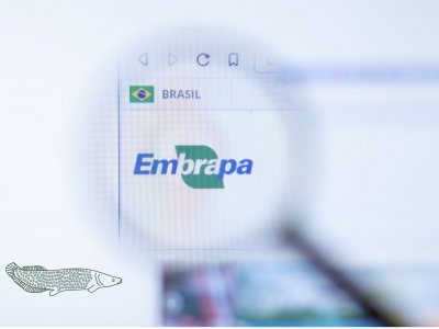 IFC Amazônia reúne quatro centros de pesquisa da Embrapa 