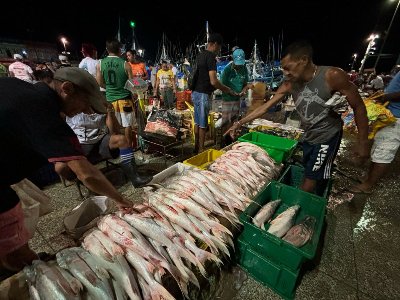 IFC Amazônia: O Pará como palco global para o futuro sustentável da pesca
