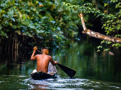 IFC AMAZÔNIA: Pará will host an international event of fisheries and aquaculture