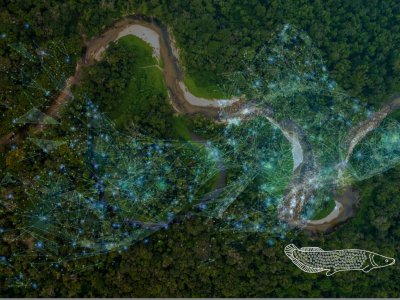 Startups apresentam soluções inovadoras no IFC Amazônia