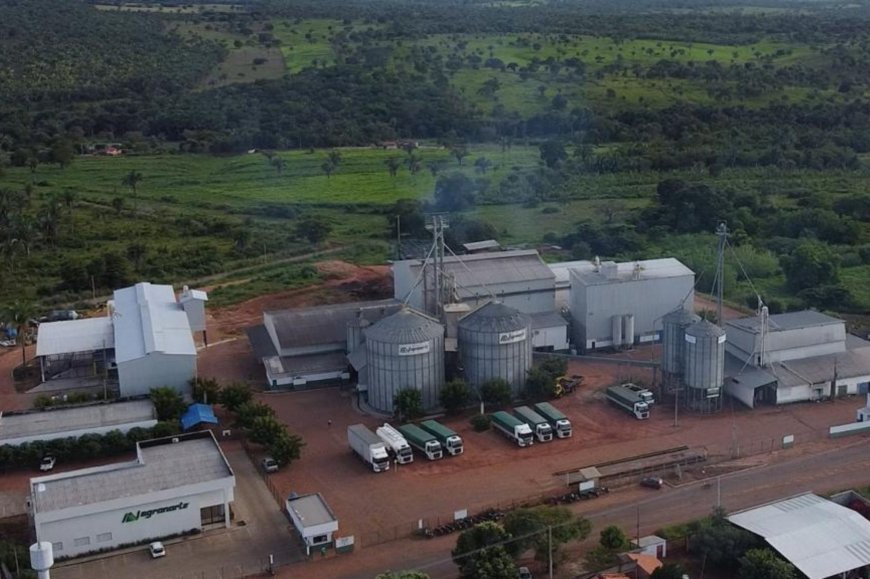 Lorem ipsum dolor sit amet consectetur