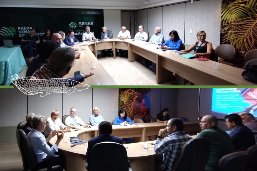 Lorem ipsum dolor sit amet consectetur