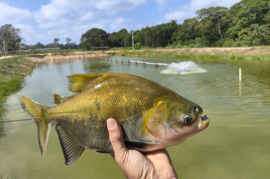 Lorem ipsum dolor sit amet consectetur