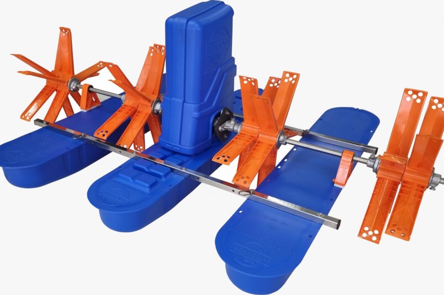 Lorem ipsum dolor sit amet consectetur