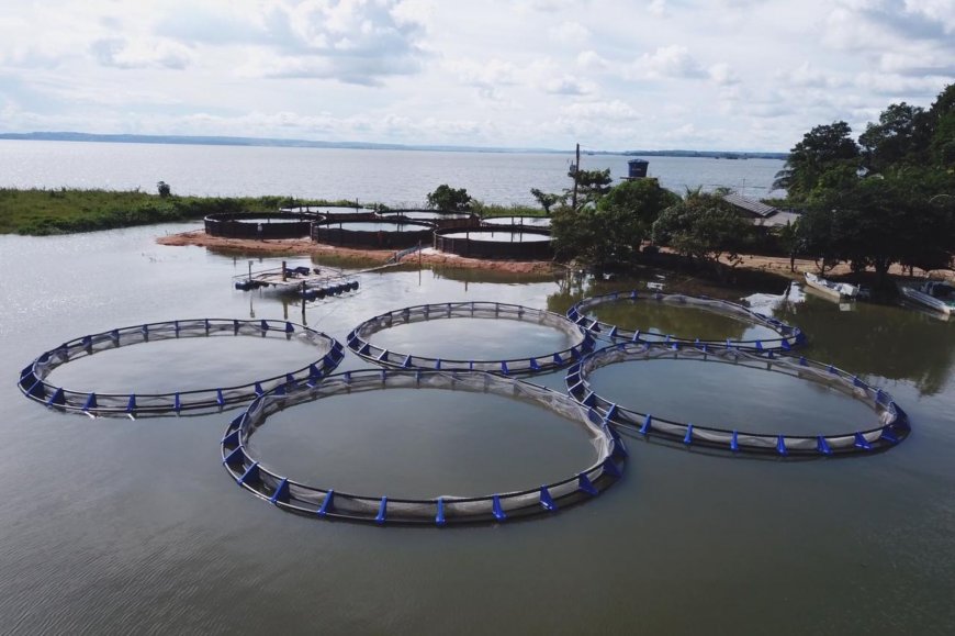 Lorem ipsum dolor sit amet consectetur