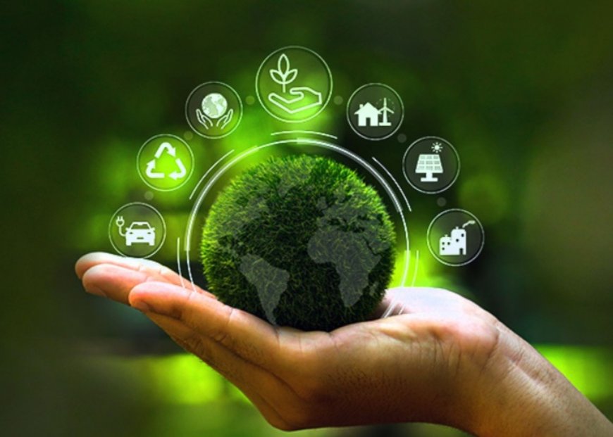 Lorem ipsum dolor sit amet consectetur