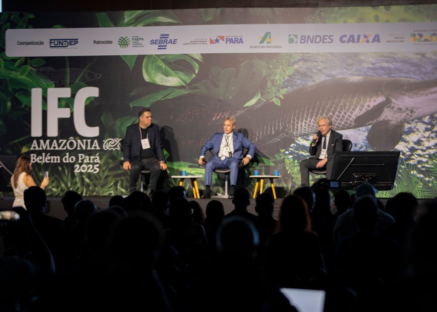 Lorem ipsum dolor sit amet consectetur