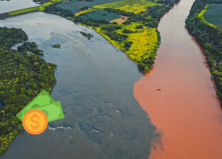 Lorem ipsum dolor sit amet consectetur