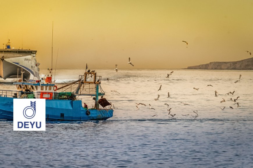 Lorem ipsum dolor sit amet consectetur