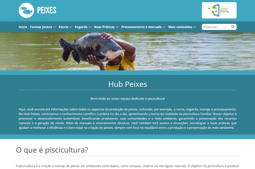 Lorem ipsum dolor sit amet consectetur