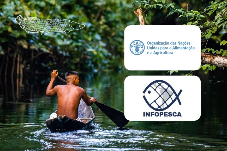 Lorem ipsum dolor sit amet consectetur