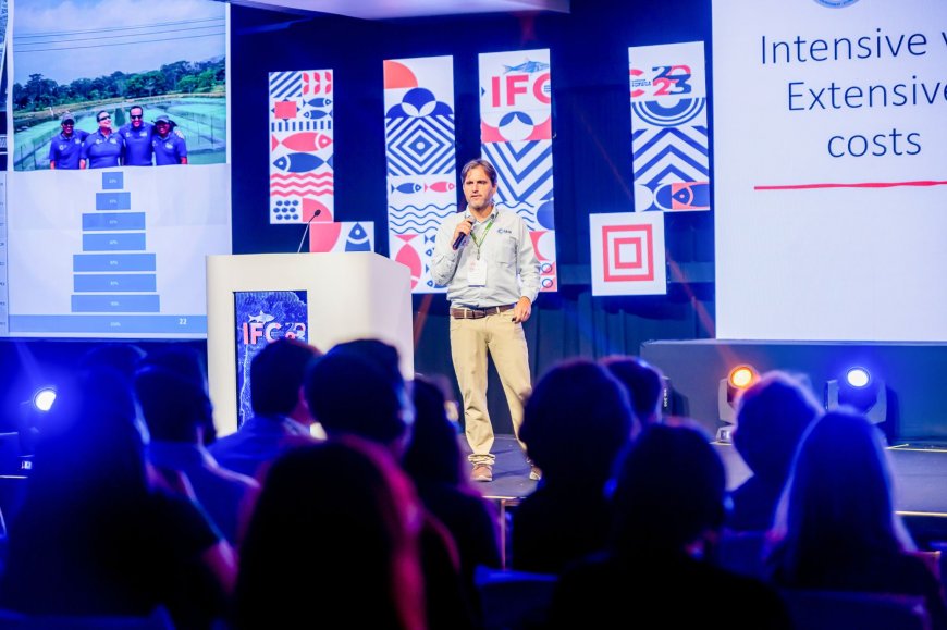 Lorem ipsum dolor sit amet consectetur