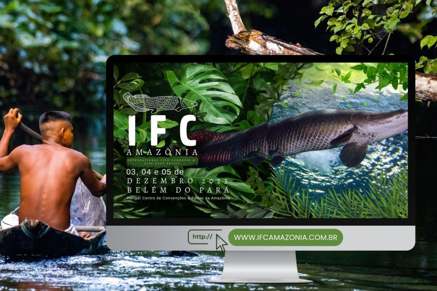 Lorem ipsum dolor sit amet consectetur