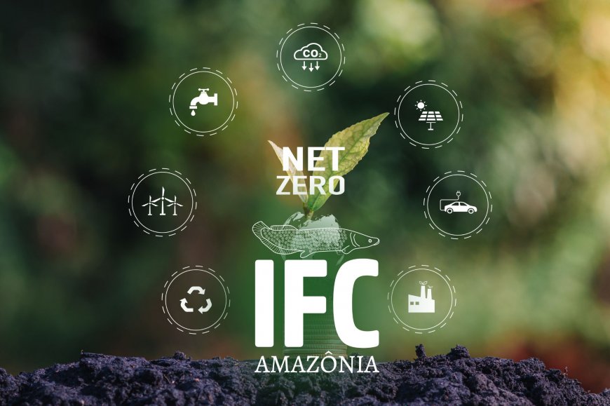 Lorem ipsum dolor sit amet consectetur