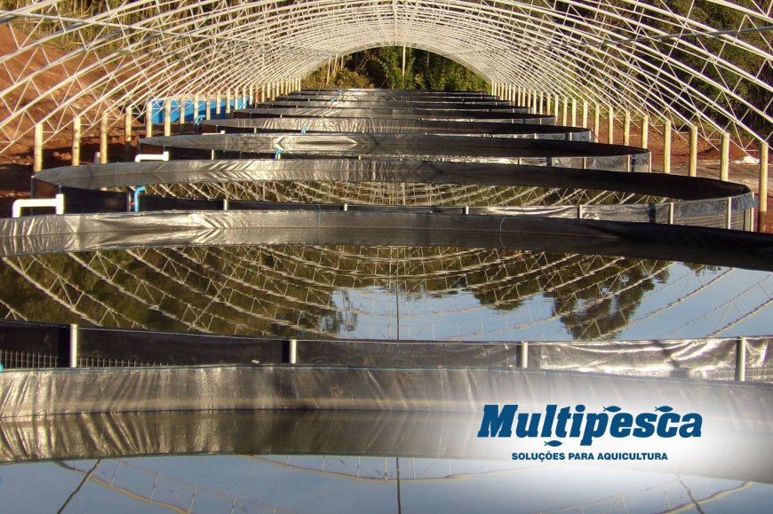 Lorem ipsum dolor sit amet consectetur