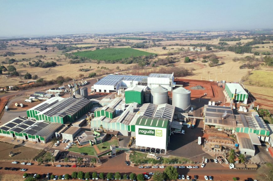 Lorem ipsum dolor sit amet consectetur