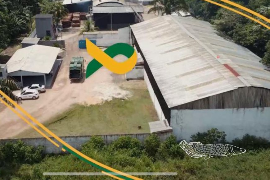 Lorem ipsum dolor sit amet consectetur