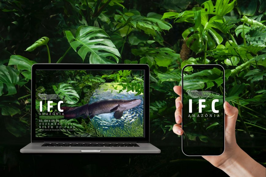 Lorem ipsum dolor sit amet consectetur