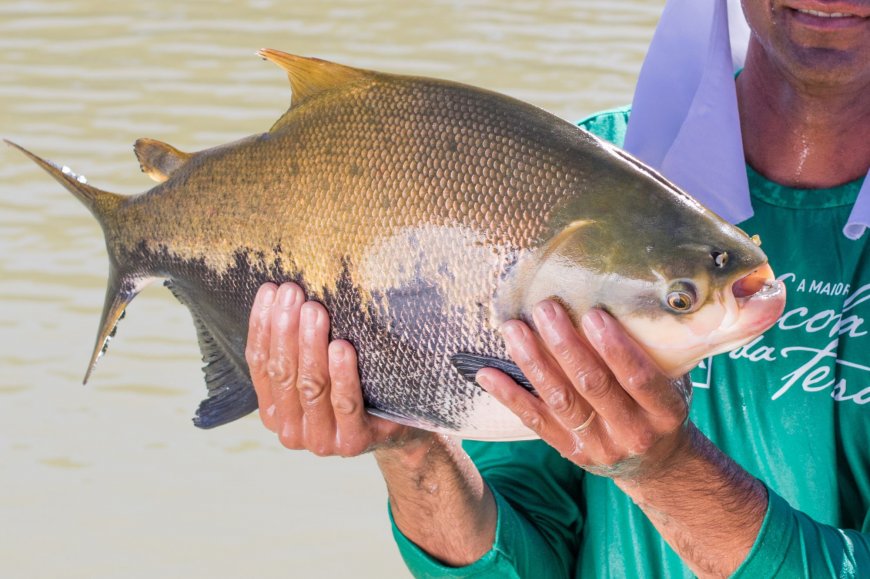 Lorem ipsum dolor sit amet consectetur