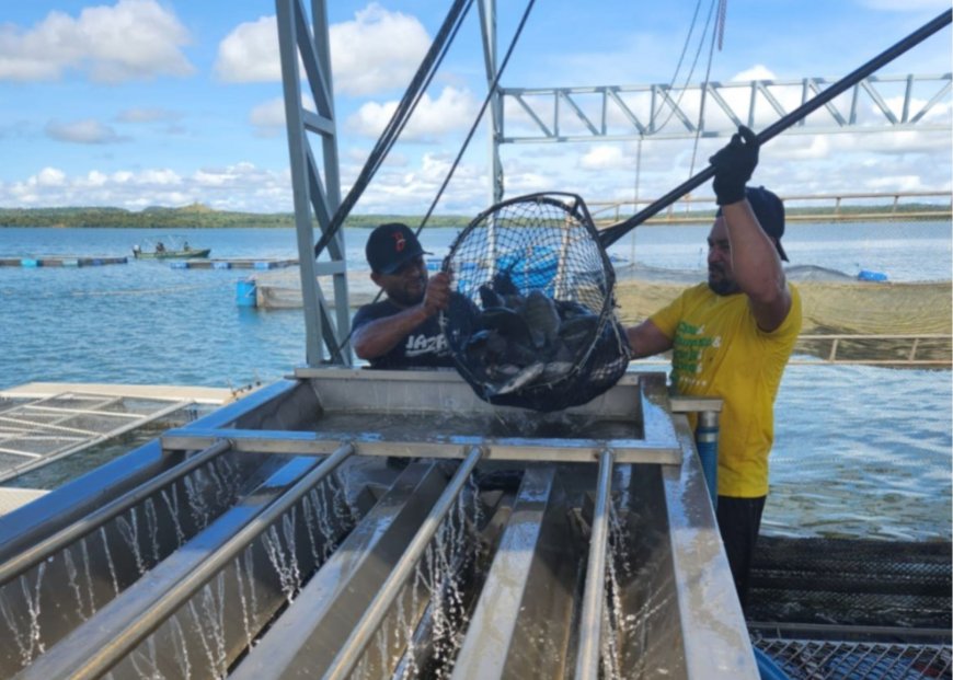 Lorem ipsum dolor sit amet consectetur